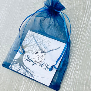 blue organza gift bag from stamps of love