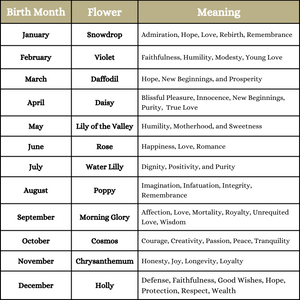 table graph indicating each birth month's flower and the meaning 