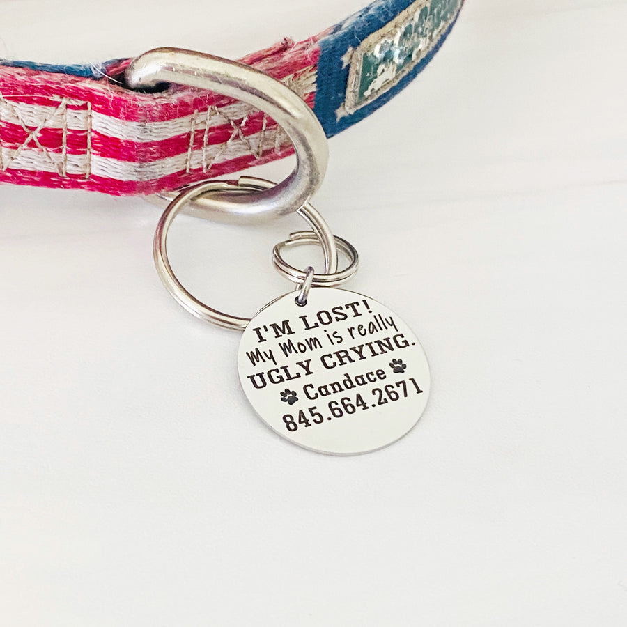 engraved dog tag on pet's collar