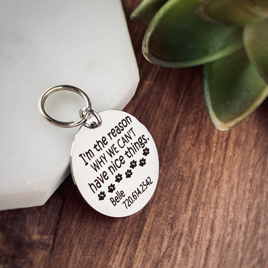 Silver stainless steel dog collar id tag with black engraving "You are the reason why we can't have nice things with a picture of paw prints, pets name and telephone number